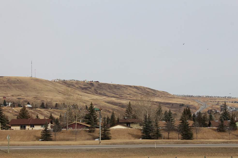 cochrane movers